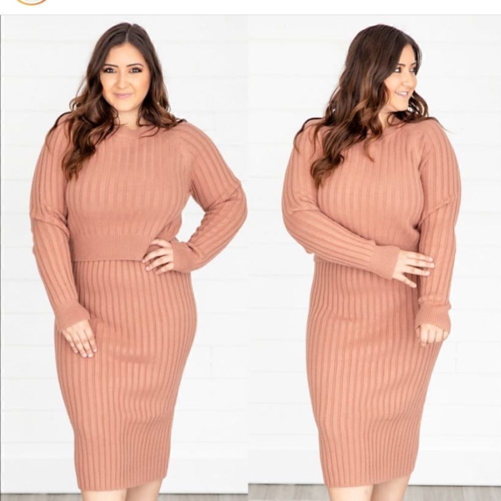 Pink Lily Boutique cropped sweater  